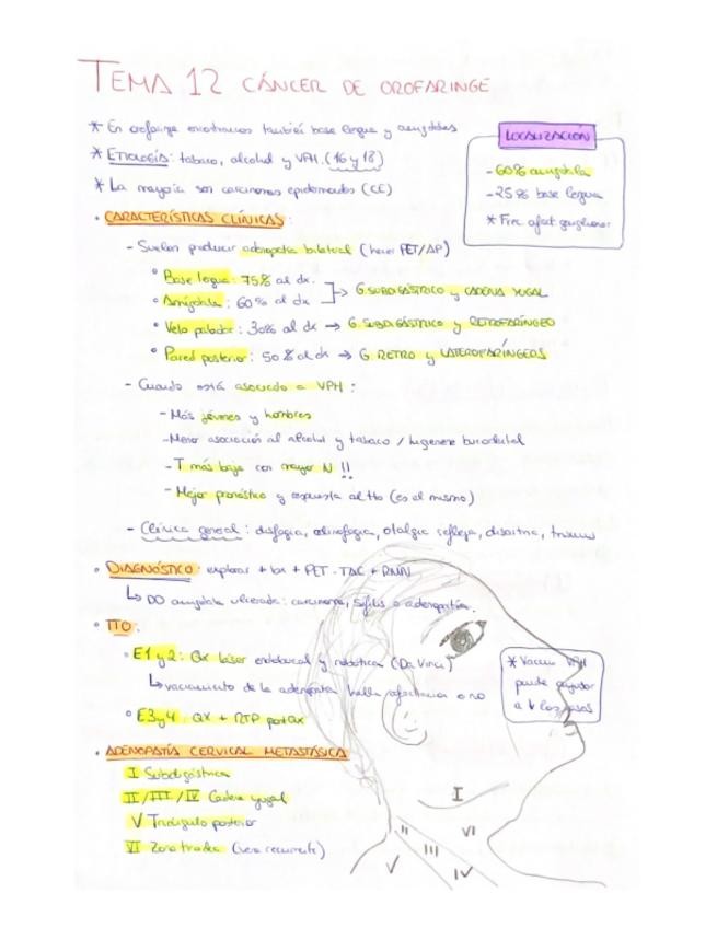 Miniatura del documento T12-Cancer-de-orofarimge.pdf