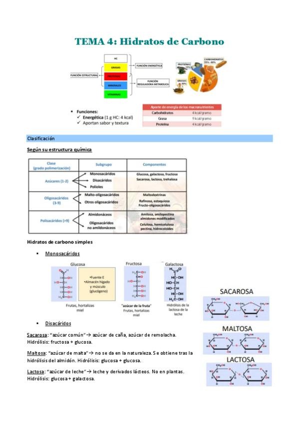 Miniatura del documento TEMA-4.pdf