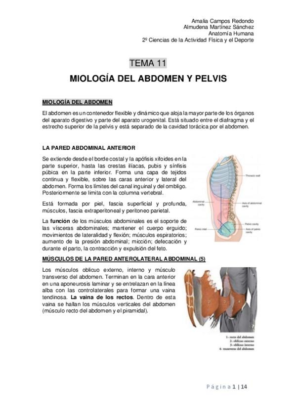 Miniatura del documento Tema-11.pdf
