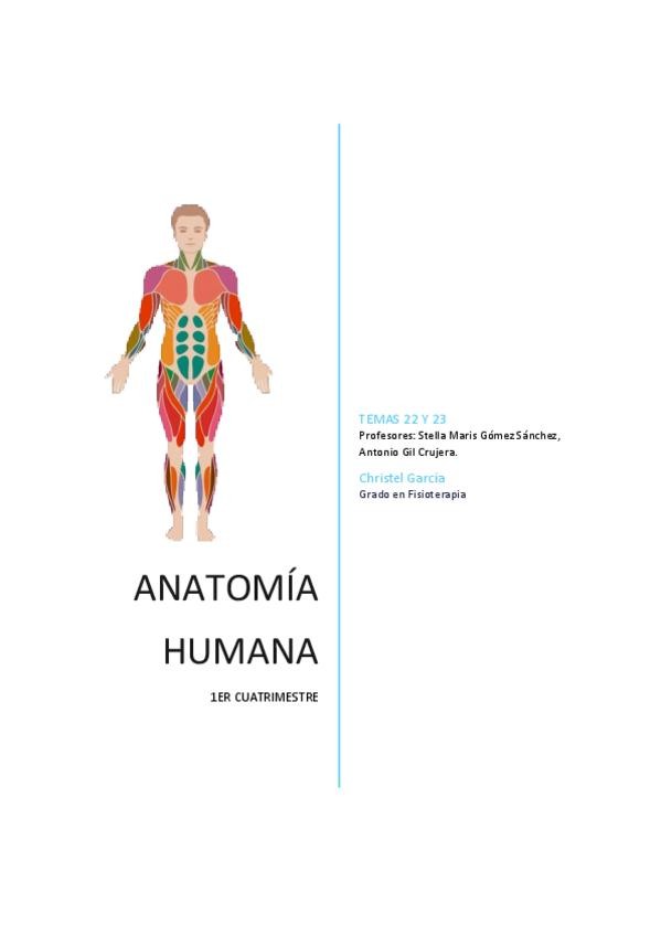 Miniatura del documento TEMA-22-y-23-ANATO.pdf