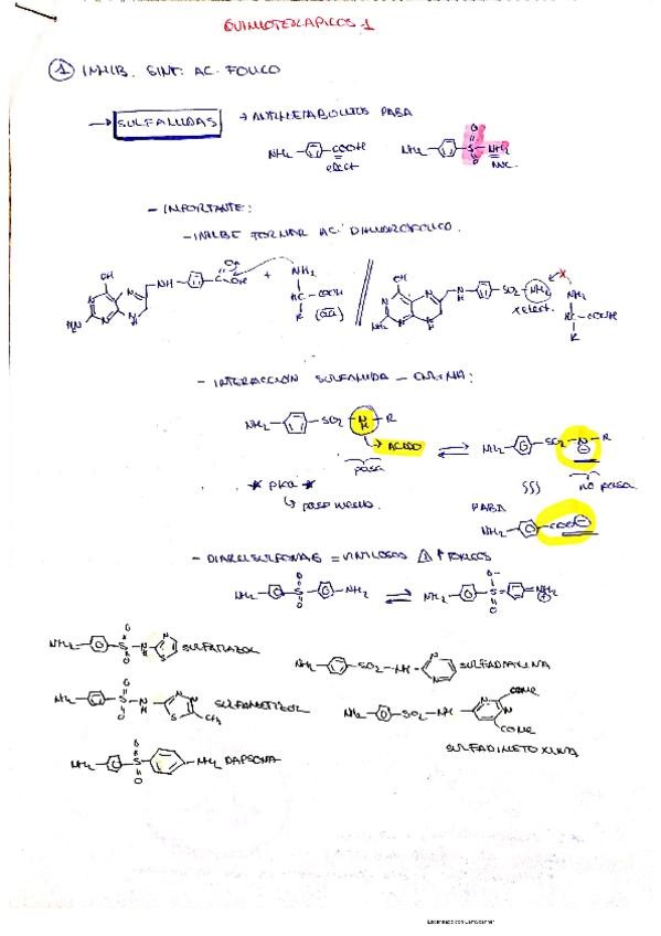 Miniatura del documento quimioterapicos-1.pdf