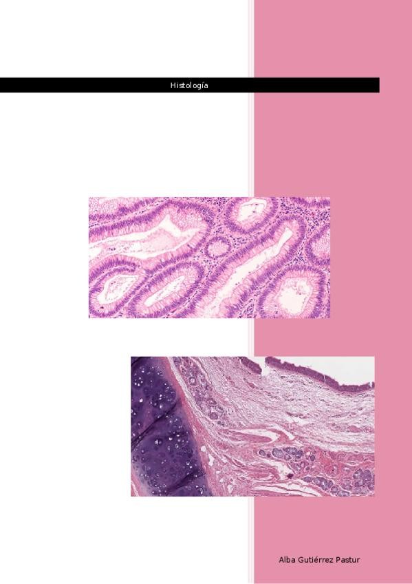 Miniatura del documento Histologia.docx