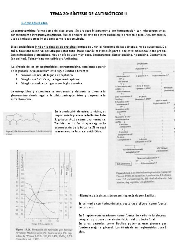 Miniatura del documento Tema 20.pdf