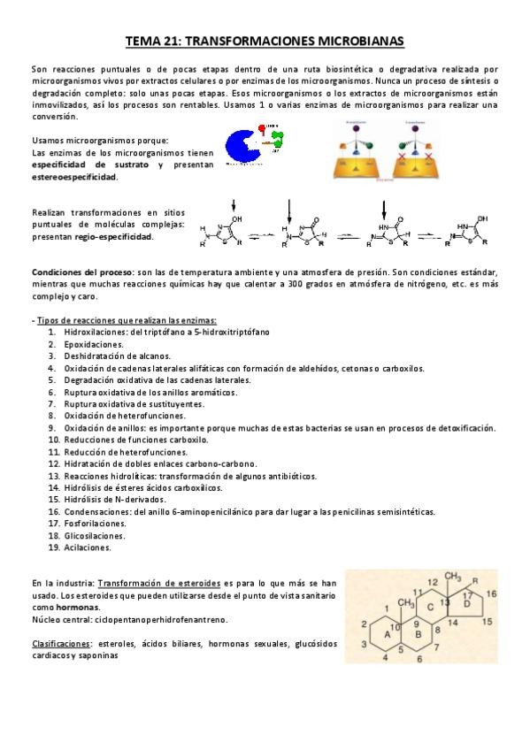 Miniatura del documento Tema 21.pdf