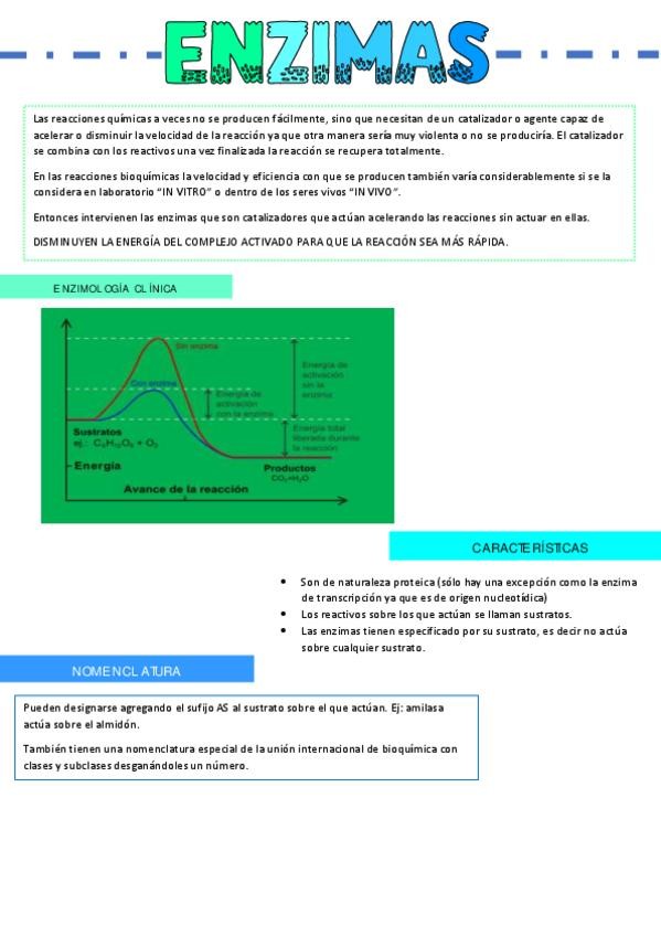 Miniatura del documento Enzimas-resumen.pdf