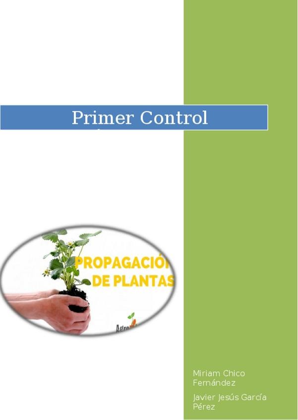 Miniatura del documento TRABAJO-16-17.docx