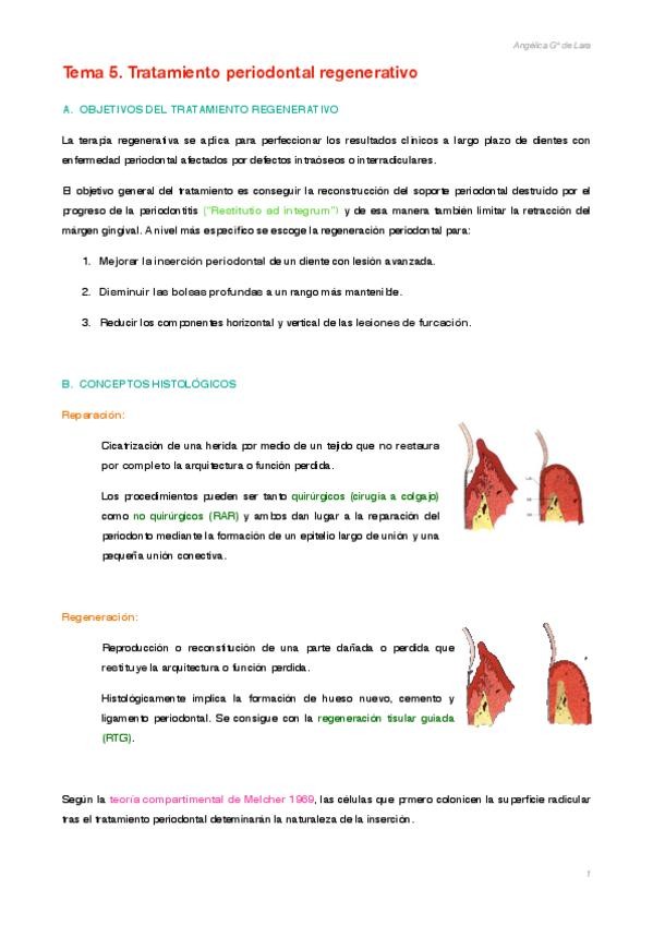 Miniatura del documento Tema-5-perio.pdf