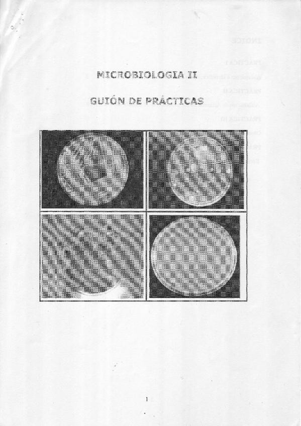 Miniatura del documento Guion de Practicas Resuelto.PDF
