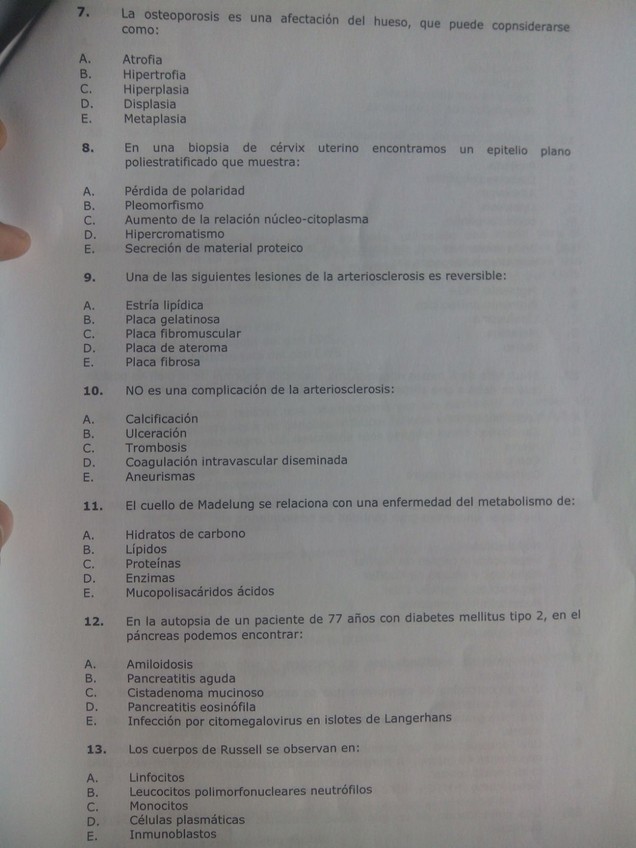Miniatura del documento 2.jpg