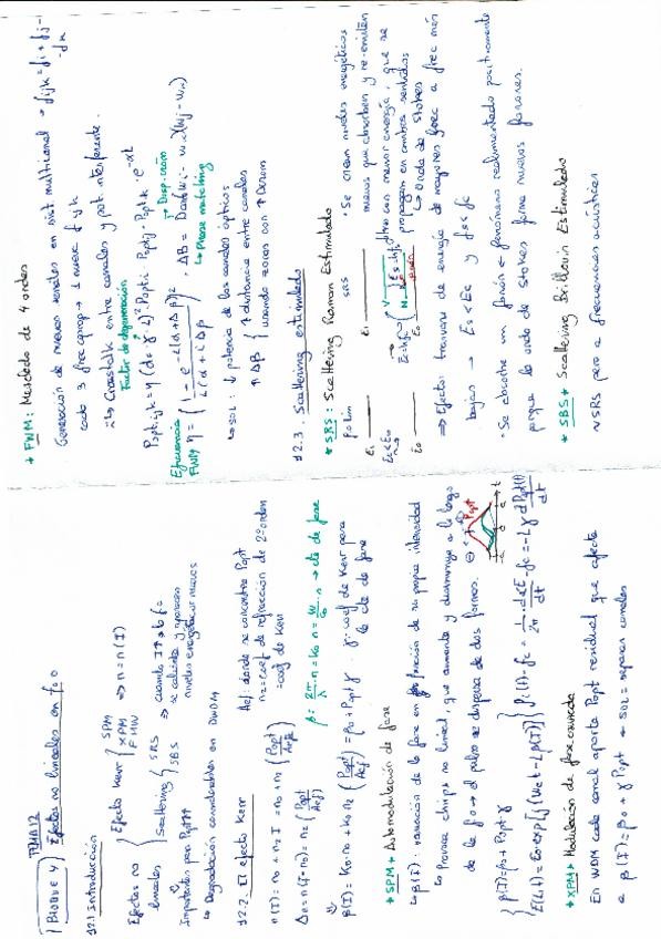 Miniatura del documento CCOO_Resumen Tema_Efectos no lineales.pdf