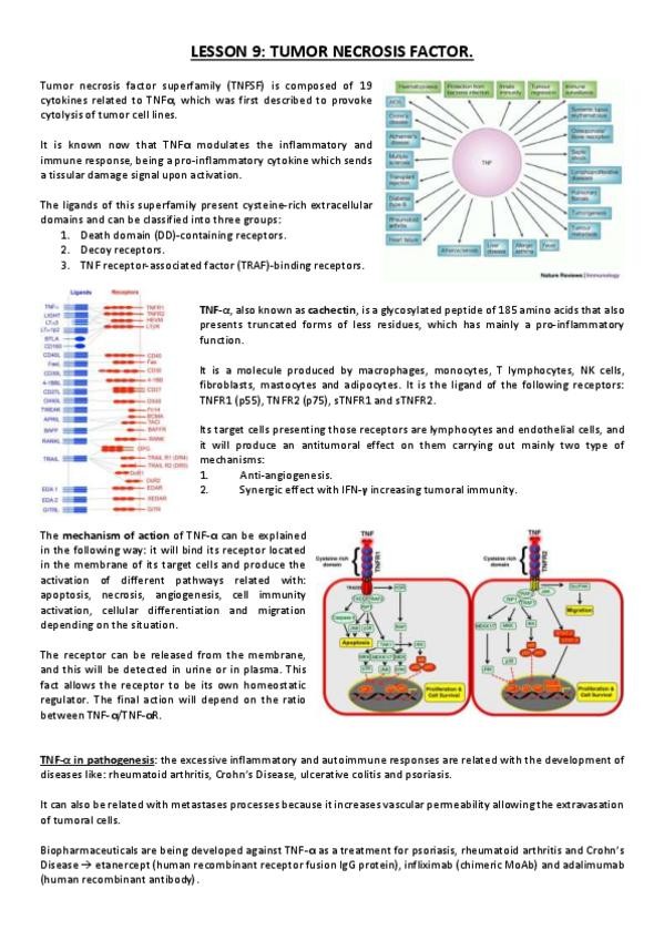 Miniatura del documento Lesson 9.pdf