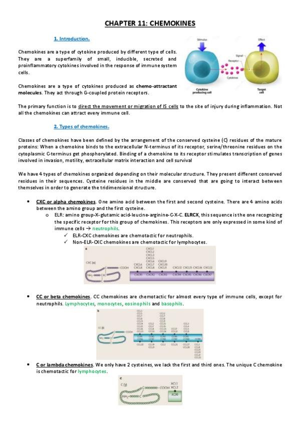 Miniatura del documento Lesson 11.pdf