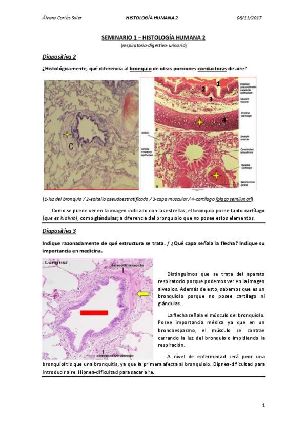 Miniatura del documento SEMINARIO 1.pdf