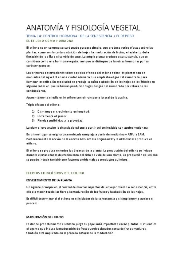 Miniatura del documento AFV T14.pdf
