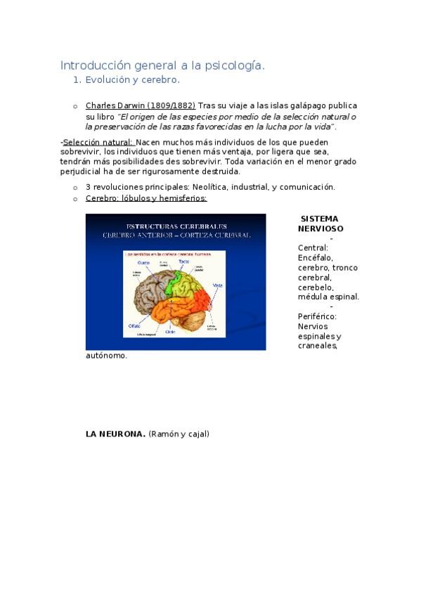 Miniatura del documento Introducción general a la psicología.docx