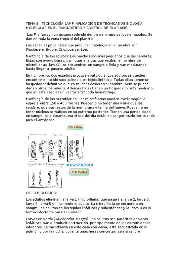 Miniatura del documento TEMA 9.docx