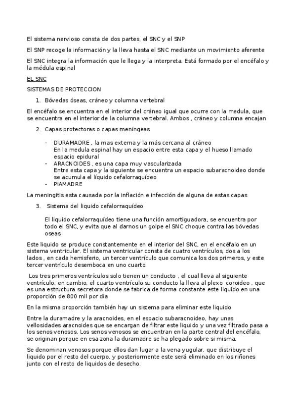 Miniatura del documento ENCEFALO.docx