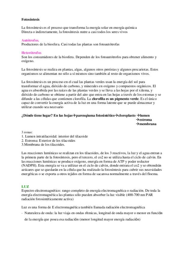 Miniatura del documento 10-Fotosíntesis.pdf