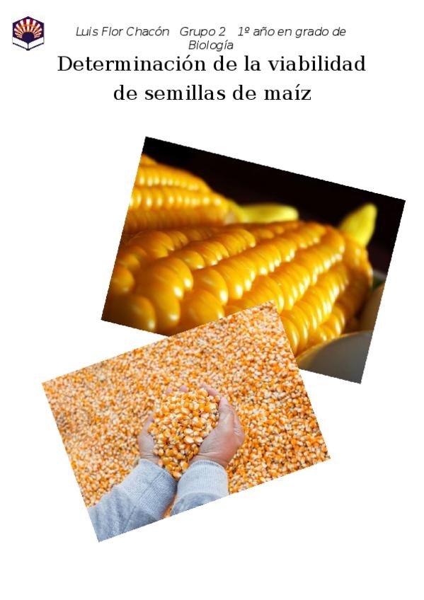 Miniatura del documento Determinación de la viabilidad de semillas de maíz.docx
