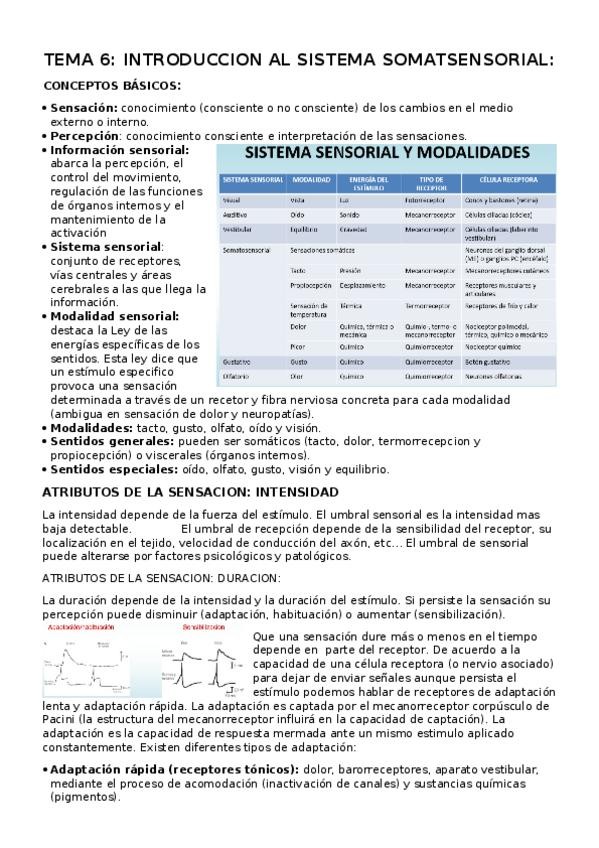 Miniatura del documento TEMA 6.docx