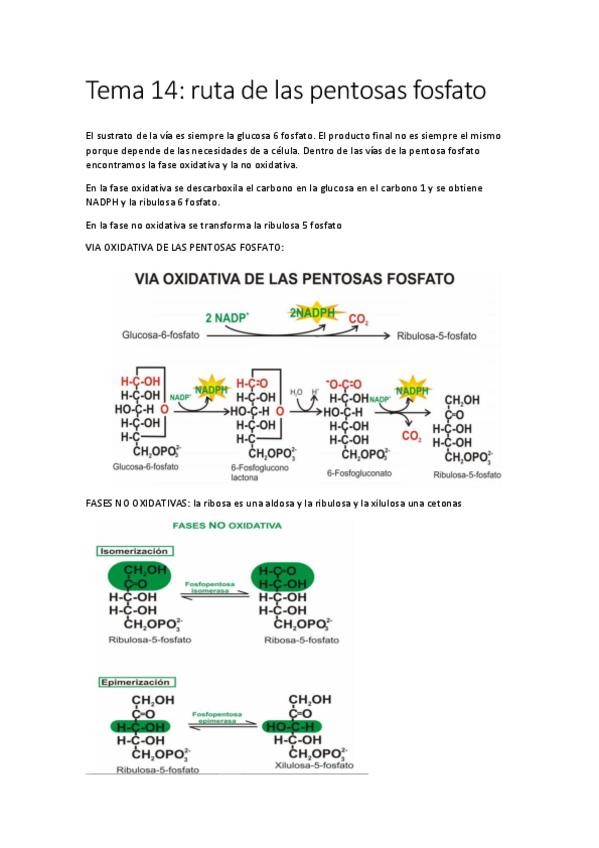 Miniatura del documento Tema 14.pdf
