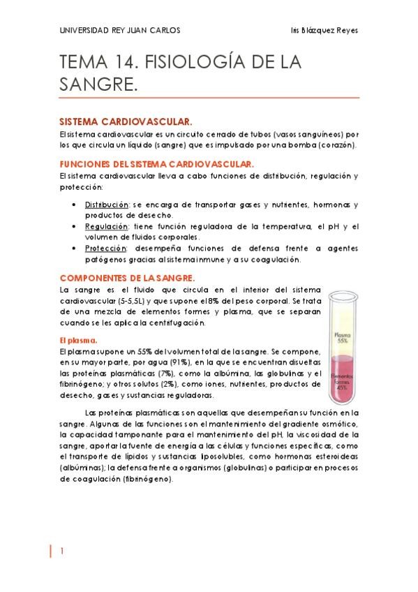 Miniatura del documento TEMA 14. FISIOLOGÍA DE LA SANGRE..pdf