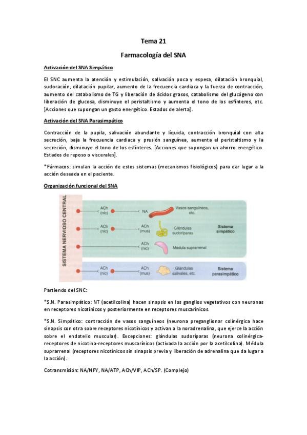 Miniatura del documento Tema 21.pdf