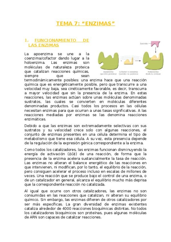 Miniatura del documento TEMA 7.docx