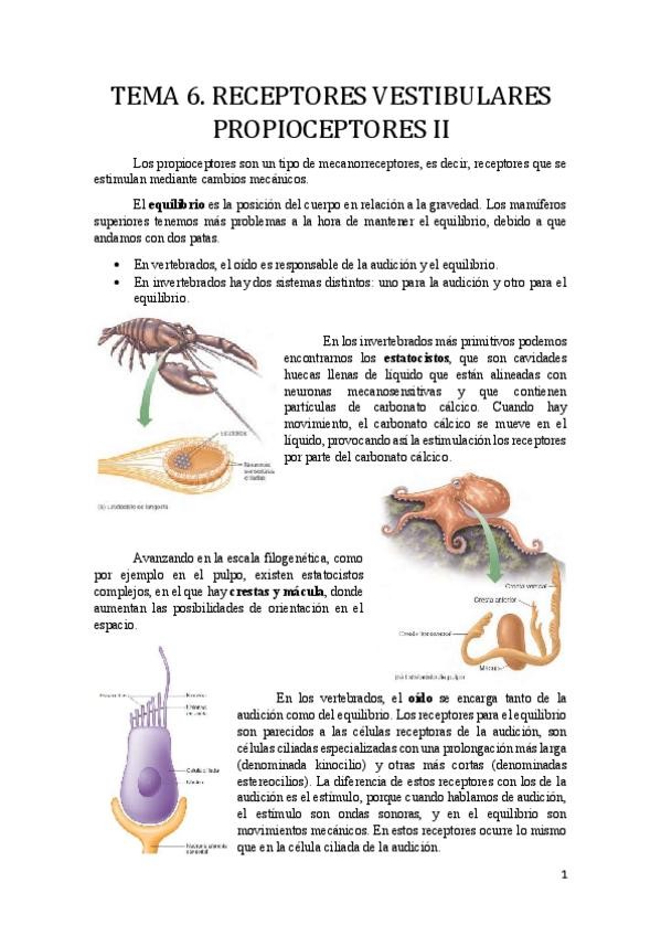 Miniatura del documento Tema 6.pdf