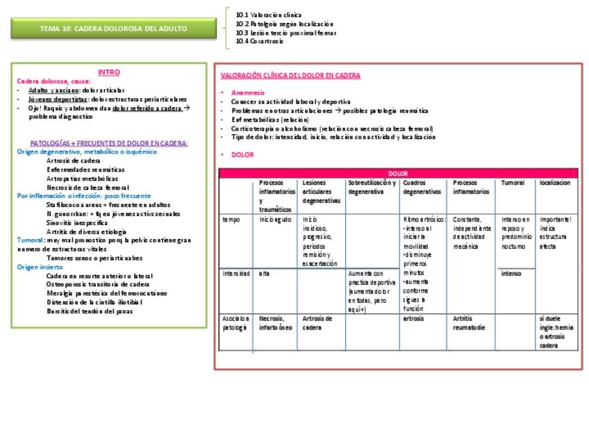 Miniatura del documento TEMA 9 CADERA GENERAL.pdf