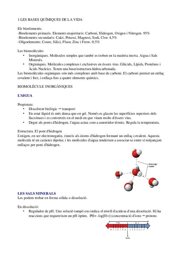 Miniatura del documento apunts 1r trimestre.odt