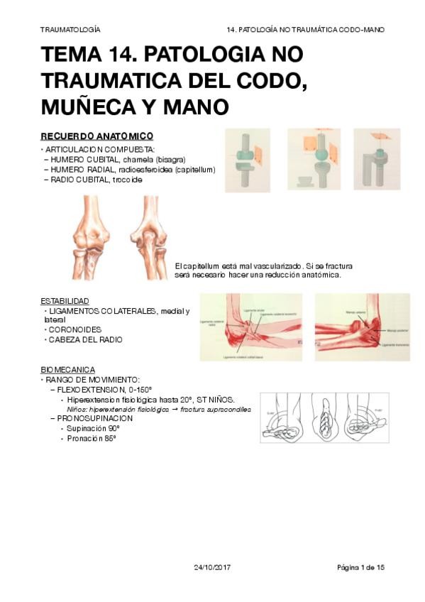 Miniatura del documento TRAUMA T14.pdf