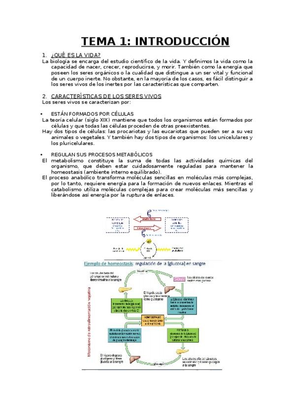 Miniatura del documento biologia.docx
