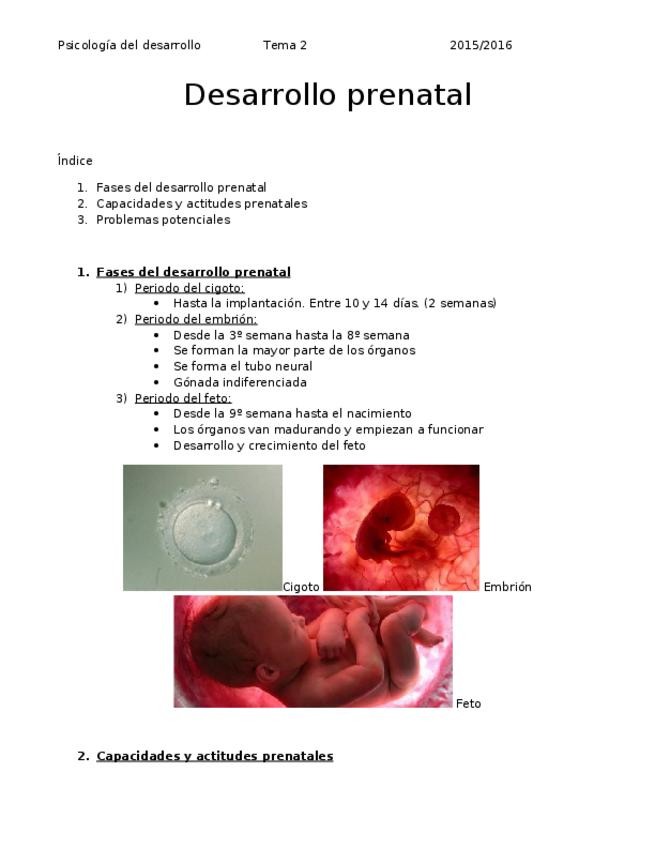 Miniatura del documento Psicología del desarrollo - Tema 02.docx