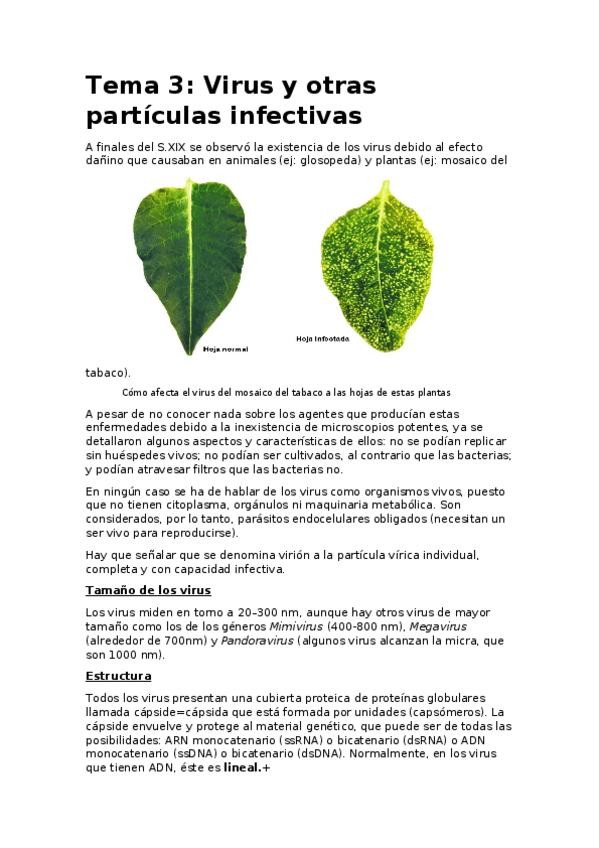 Miniatura del documento tema 3.docx