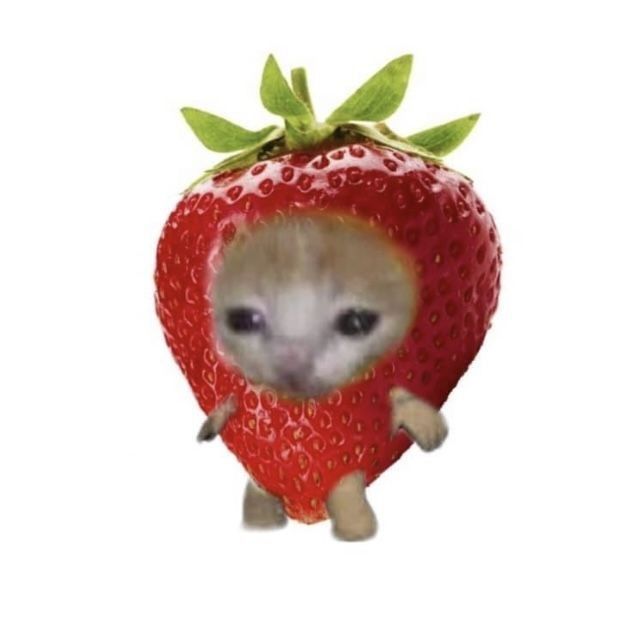 quinesina