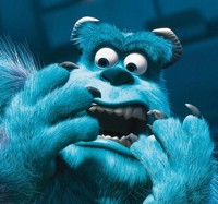 Sulley_Vet3