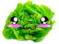 Jlechuga