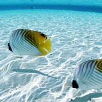 MiguelICela_1723467002