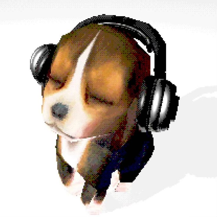 rsaura