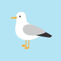 seagullmoe33