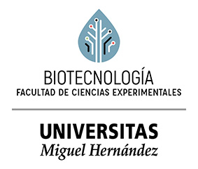 biotec_umh