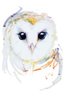 Owl_awake