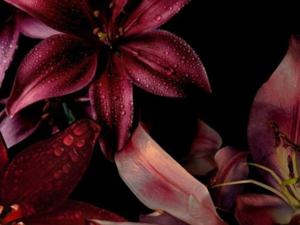 Lilith_notes