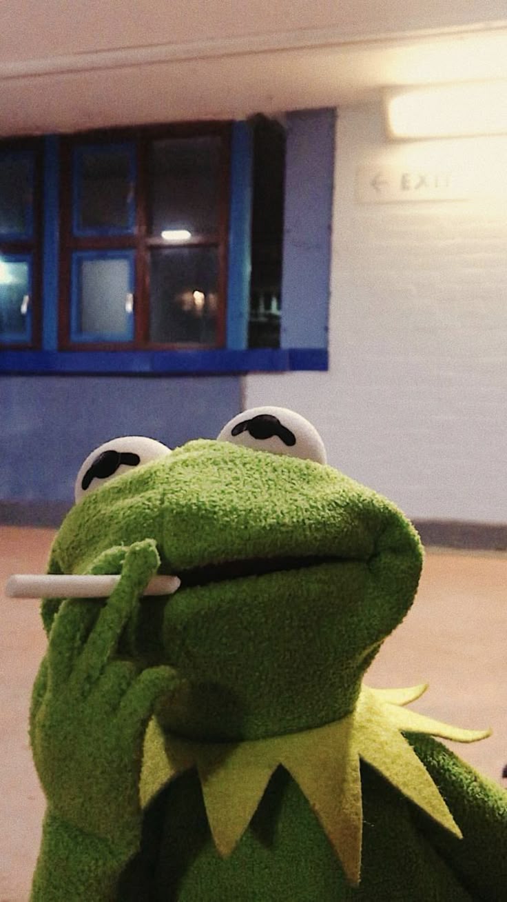 Inge_Kermit