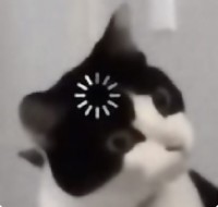 ConfusedCat