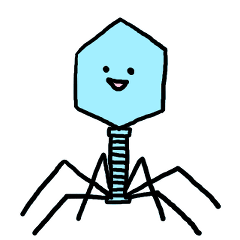 Bacteriofaggot