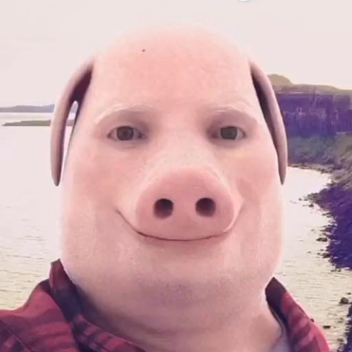 John_Pork