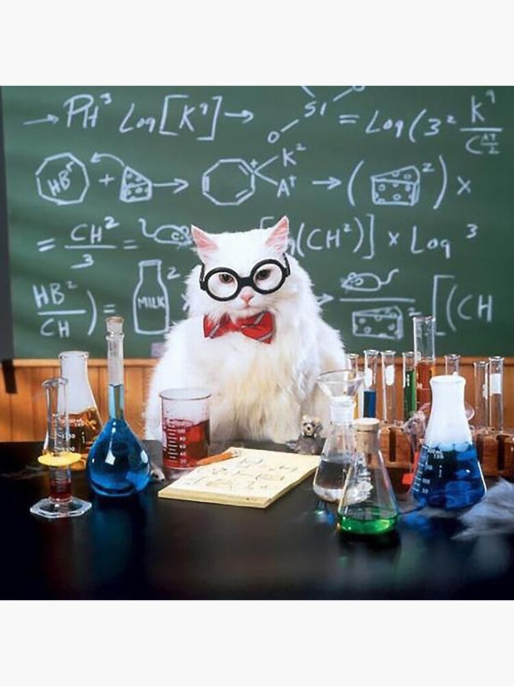 CuantiCat