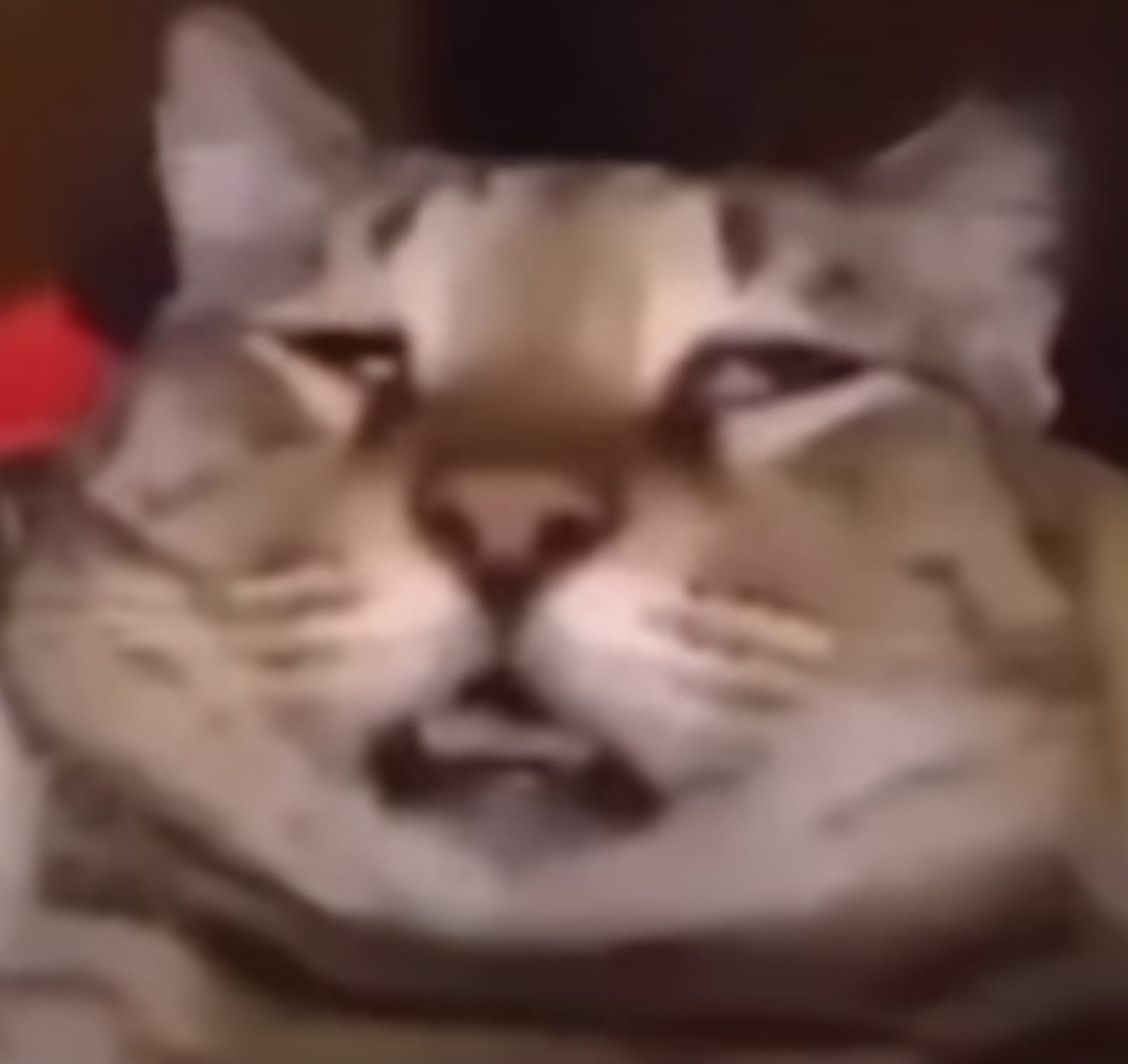 REMIIBONIATO